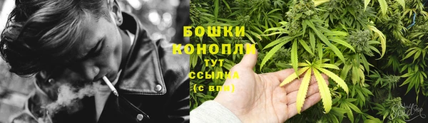 mdpv Белокуриха