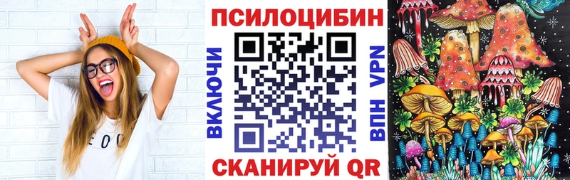 Псилоцибиновые грибы GOLDEN TEACHER  Короча 